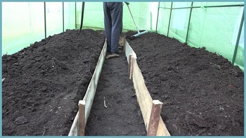 Особенности подготовки почвы в теплице