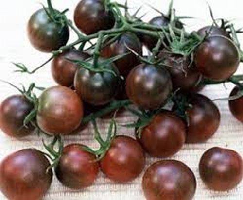 Как вырастить помидоры черри в теплице