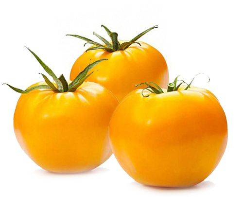 Желтые сорта томатов для открытого грунта и теплицы из поликарбоната
